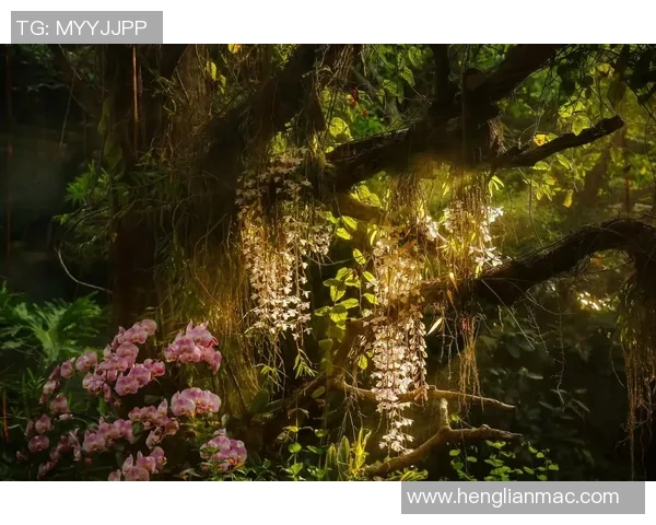 捕捉光影间的瞬息之美探索写真摄影艺术中的细节与情感表达 捕捉光影间的瞬息之美探索写真摄影艺术中的细节与情感表达