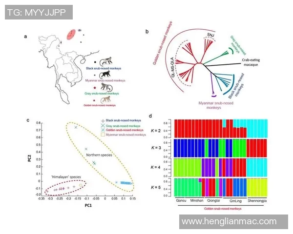 西安极限运动队节奏对比分析揭示团队协作与个人表现的关系 西安极限运动队节奏对比分析揭示团队协作与个人表现的关系