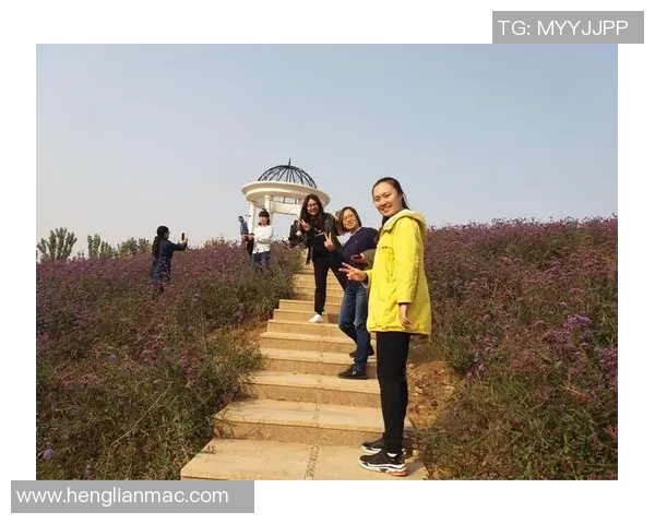 WE战队的拼搏之路与荣耀时刻的深度解析与回顾